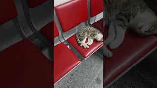 Hastane Akşam Bekleme Perişanlıgı