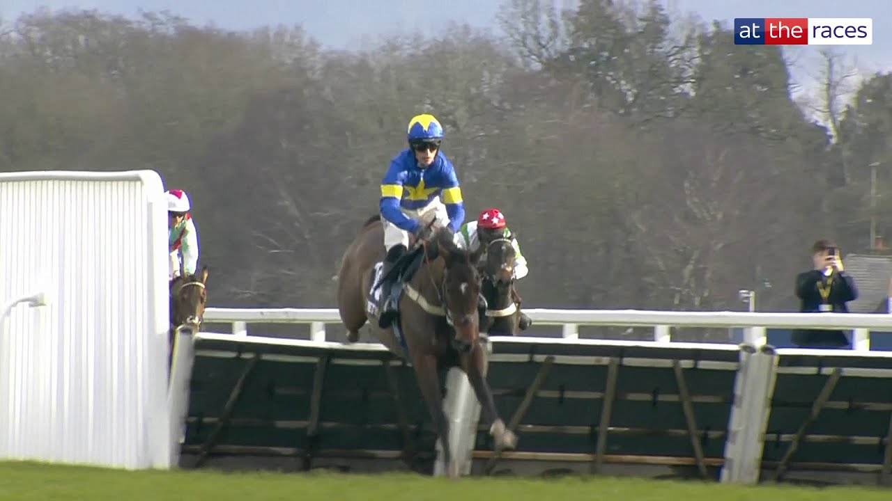 WOW! 🤯 WINSTON JUNIOR 6/1 favourite for Cheltenham after dominant Ascot success!