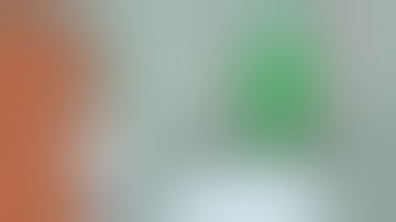 BRUTAL SPHINCTER - MAKE GOREGRIND GREAT AGAIN [OFFICIAL MUSIC VIDEO] (2019) SW EXCLUSIVE