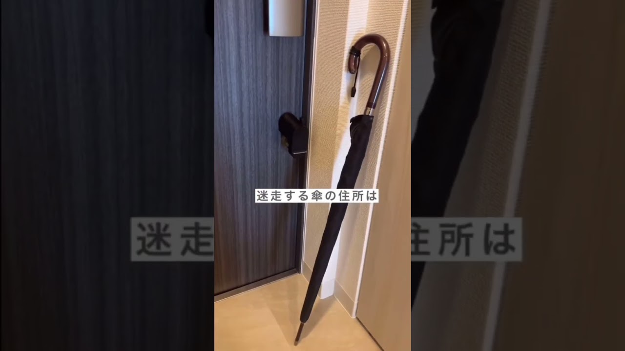 一人暮らしで学んだ便利グッズ#一人暮らし #収納 # #掃除術 #shorts