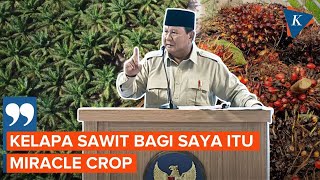 Prabowo Sebut Kelapa Sawit adalah Tanaman Ajaib, Banyak Pemimpin Negara Minta Disuplai