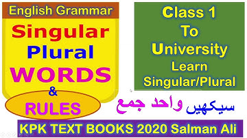 English Grammar  Singular Plural  KPK TEXT BOOKS  2020 Salman Ali Learn English with Salman Ali