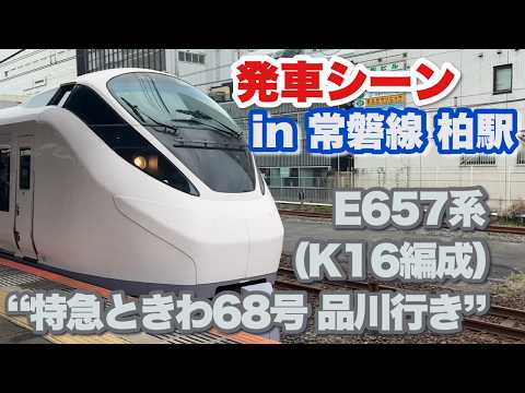 E657系（K16編成） “特急ときわ68号 品川行き” 柏駅を発車する 2026/06/21