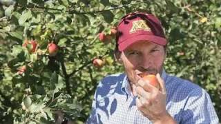 Celebrity Fields of Study: Apple Breeding Profile