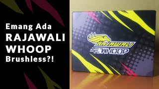 [Tutorial Receh] Bagian 1 - Konversi Rajawali Whoop Brushed ke Brushless