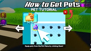 How to Get Pets in Pressure Wash Simulator 2 Roblox - Full Guide