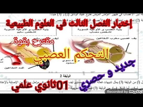 إختبار الفصل الثالث في العلوم الطبيعية السنة الأولى ثانوي علمي 2025