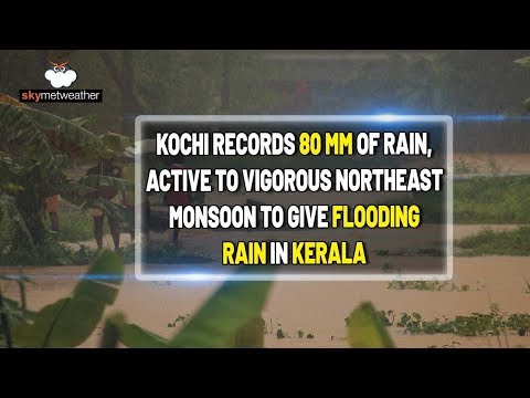 Kochi records 80