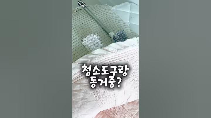 청소도구 정리 다이소추천템