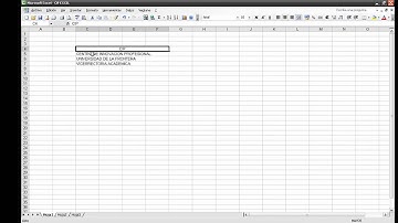2. Formato básico de celdas [Excel 2003]