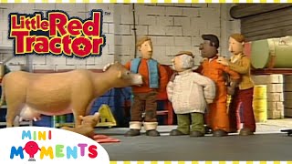 Little Red Tractor and the Baby Cow 🐮 | Little Red Tractor | Full Episodes | Mini Moments