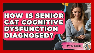 How Is Senior Cat Cognitive Dysfunction Diagnosed? - Happy Cat Handbook