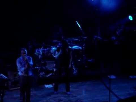 Stars - The Night Starts Here