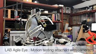 High speed object orientation robot AKA Agile Eye