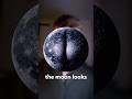 The Backside Of Famous Places