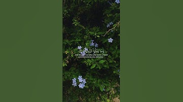 اذكر الله | سورة الاحزاب الآية [23-24] القارئ بدر التركي #قرآن #بدر_التركيقرآن_كريم #قرآن#