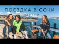 СОЧИ / ПРОГУЛКИ ПО АДЛЕРУ / ТИСО-САМШИТОВАЯ РОЩА