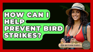 How Can I Help Prevent Bird Strikes? - Bird Watching Diaries