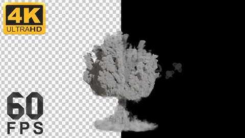 White smoke mushroom explosion with Alpha channel (no background)