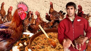 Download Lagu High-quality (and tasty) free-range chickens. Raising and stews: rice with crests and with mushrooms MP3