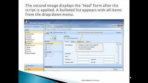 Customization and Configuration in Microsoft Dynamics CRM 4.0 - Bullet Points from Picklist Script