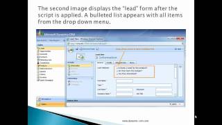 Celebrity Customization and Configuration in Microsoft Dynamics CRM 4.0 - Bullet Points from Picklist Script Profile