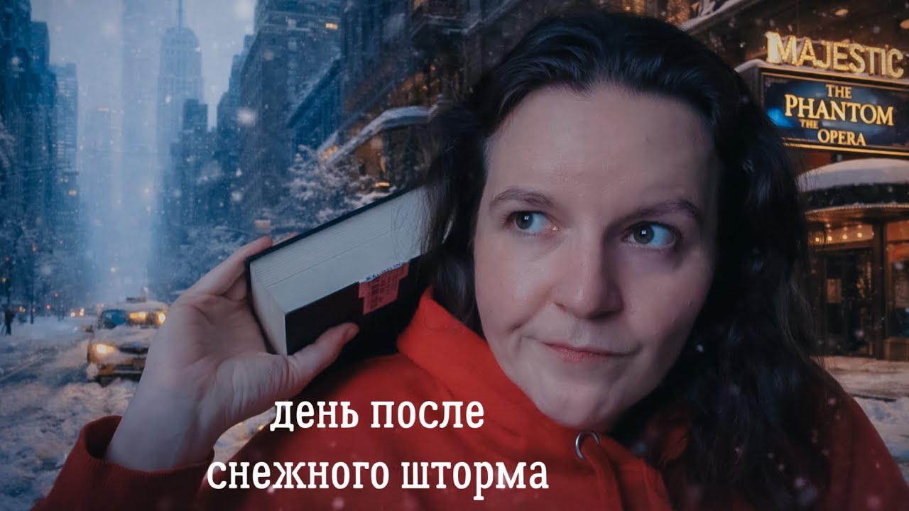 день в Нью-Йорке после снежного шторма с книгами и театром 📚 🎭 