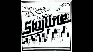 EXCLU ! Skyline - you're the best (southern sunset records) 1987