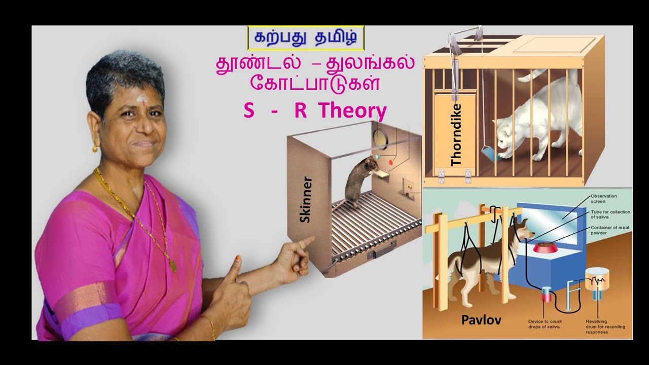 ✍🏆 TET :தூண்டல் -துலங்கல் கோட்பாடுகள்:S - R Theory : Psychology |தார்ண்டைக், பாவ்லோவ், ஸ்கின்னர்