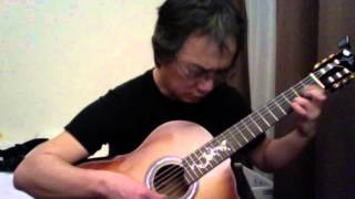 Wondering Where the Lions Are (Fingerstyle Guitar)