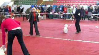 DSCN8734.AVI