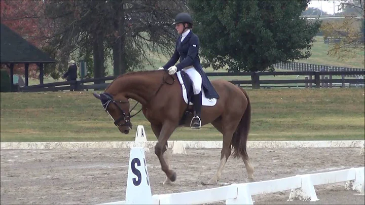 Annie Goeke and Kiltubrid Rebel Dressage Lexington...