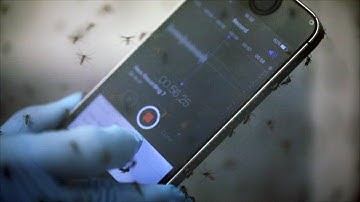 Stanford researchers create "Shazam" for mosquitoes