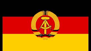 The DDR in a nutshell