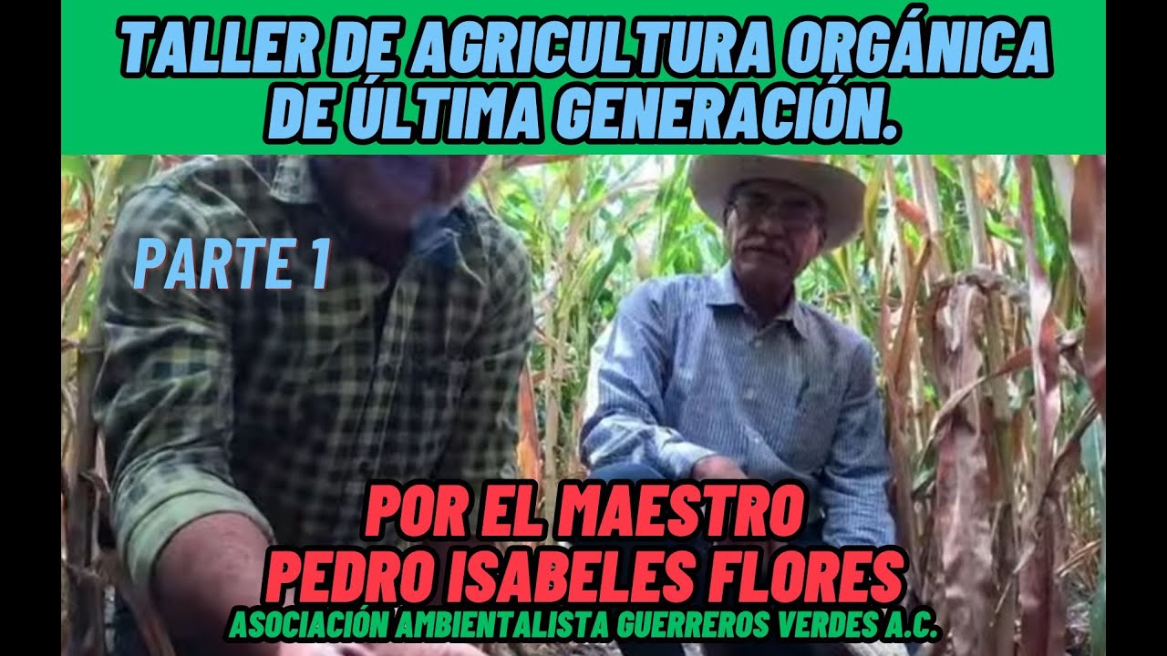 Taller de agricultura orgánica de última generación. Plagas y enfermedades. Primera parte