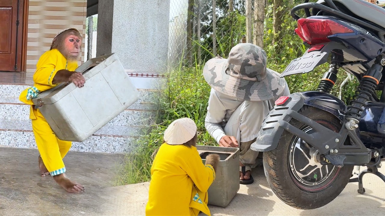 So Kind! CUTIS Grabs Tools to Help Stranger Fix Broken Bike!