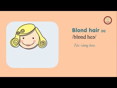English 6 - week7 - unit2: review + unit3: lesson1
