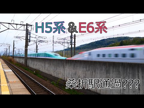 【東北新幹線】在来線の駅なの通過するH5系はやぶさとE6系こまち