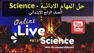 Grade.4 | Live | Performance tasks | First Term 2021-2022