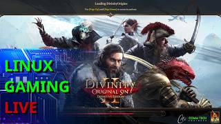 Linux Gaming Live | Divinity Original Sin 2: Definitive Edition