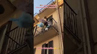 Cómo Desalojar A Los Okupas En España? Ña