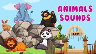 Animals Sounds | Animal Zoo | Animal sounds around us | Learning for Kids & Toddlers | Animal videos
