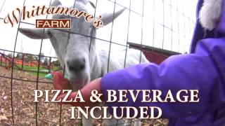 Whittamore's Farm - Barnyard Birthday Bash - Markham - 3-1454