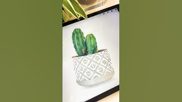 Drawing a Boho Cactus with Watercolor Studio for #procreate #procreateart #digitaldrawing #drawing