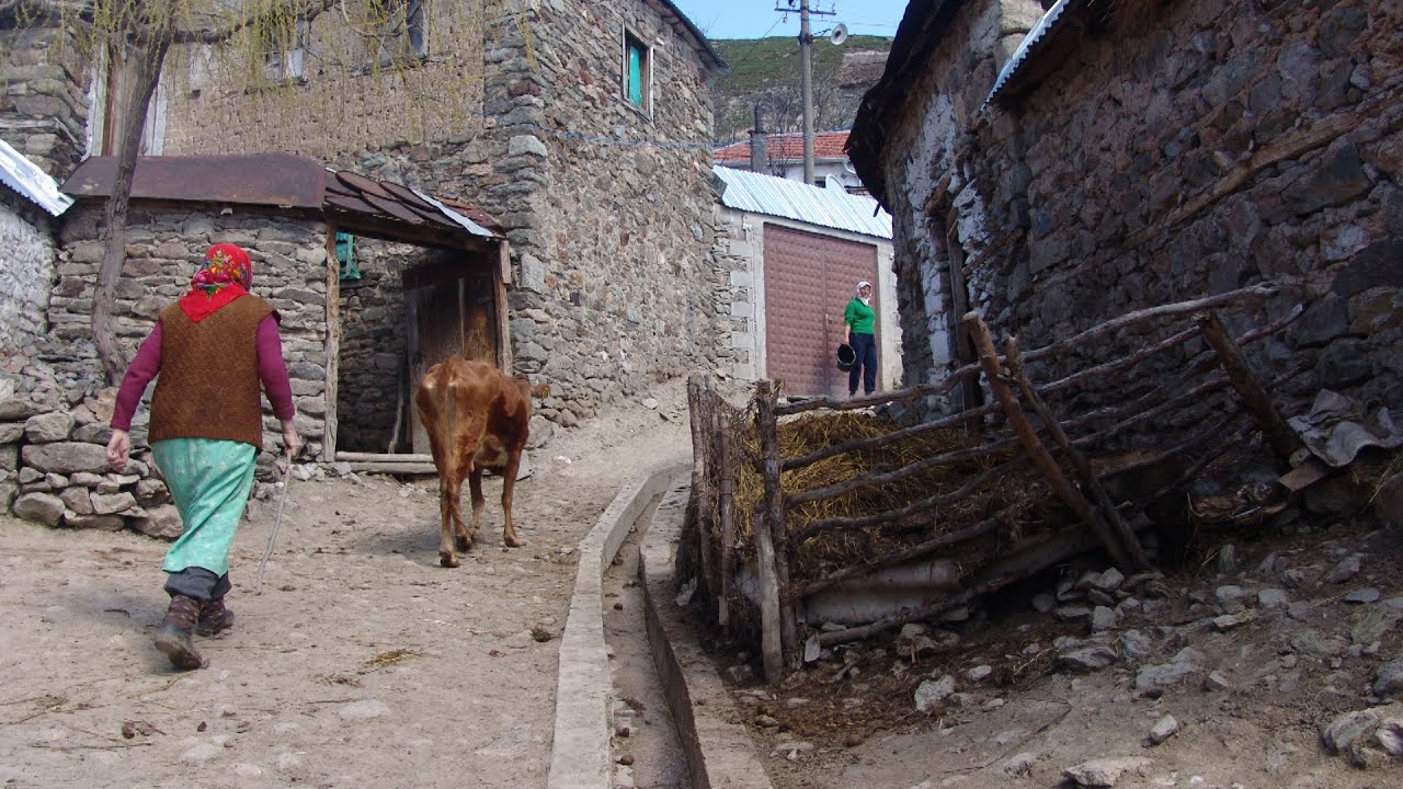 Selo Borje u Albaniji -Dijaspora u Bosni I Hrvatskoj ( audio emisija )