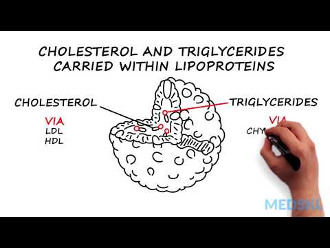 about cholesterol