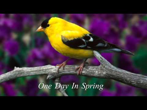One Day In Spring - Bandari