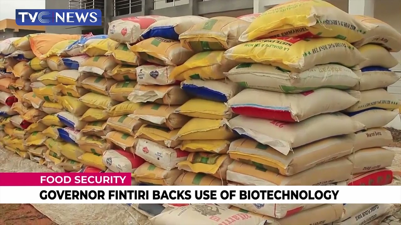 Agricultural Biotechnology has Become an Acceptable Option for Nigeria   NABDA