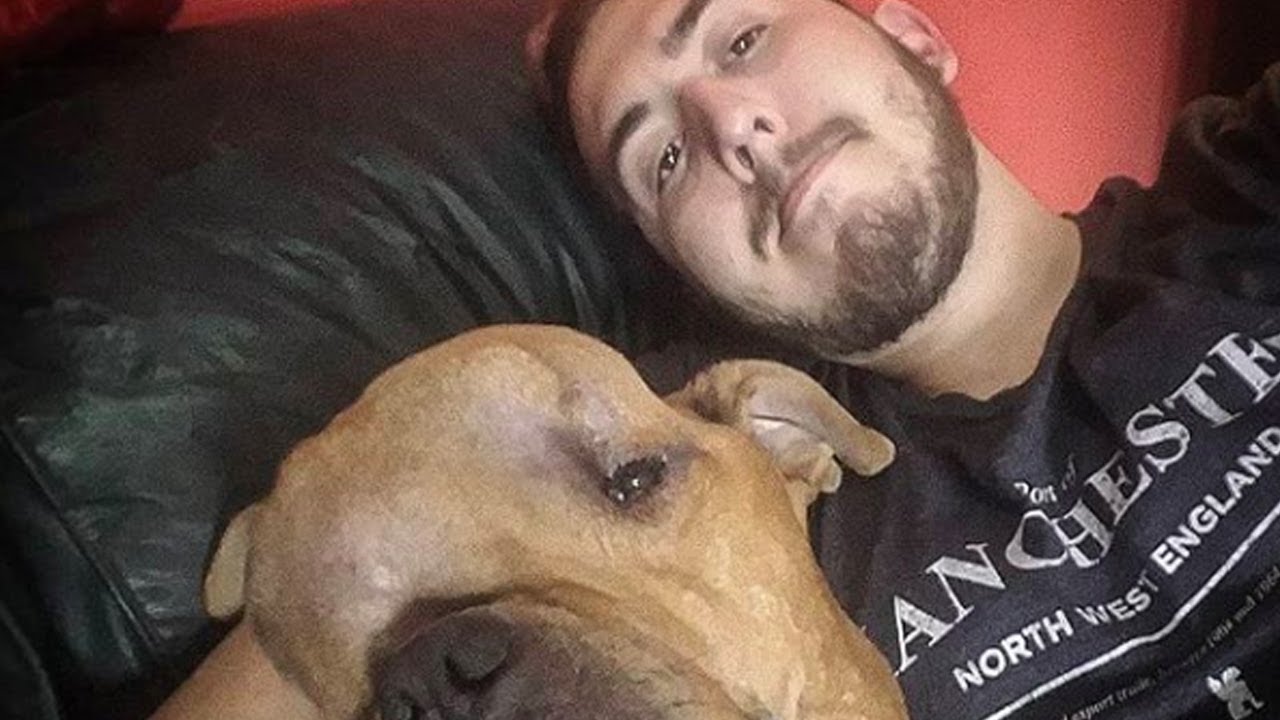 Homem adota cão que NINGUÉM QUERIA e deixa todo mundo em lagrimas