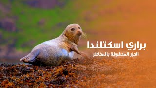 براري اسكتلندا الجزر المحفوفة بالمخاطر | كويست عربية Quest Arabiya screenshot 4